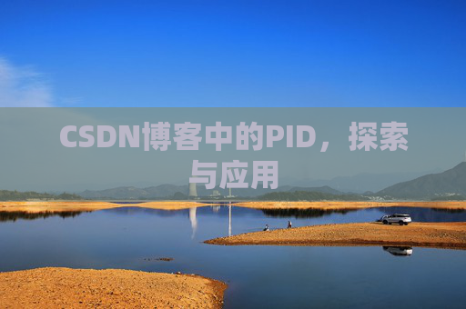 CSDN博客中的PID，探索与应用
